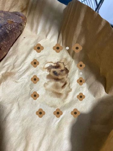 我的小狗换另一种方式来见我了