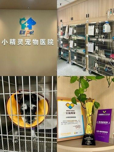 太原宠物医院分享｜想让所有人知道的良心商家❗️