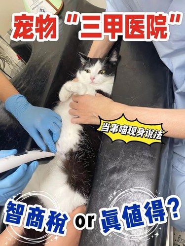 杭州宠物“三甲医院”智商税or真值得⁉️