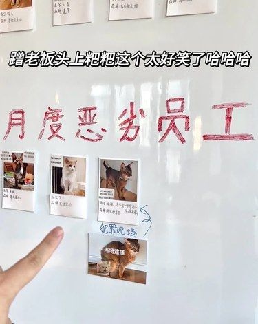 老板说每个月都会把恶劣员工拉去嘎[捂脸]