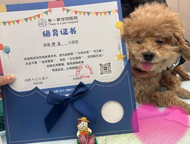 大连市有一家宠物医院