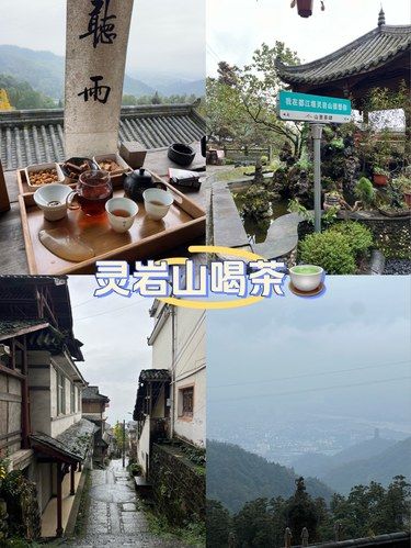 灵岩山上的茶舍～爱了