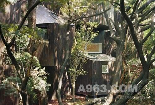 日本建筑师中村拓志的“林舞鸟鸣”住宅设计欣赏 