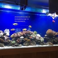 大型鱼缸 大型水族箱、亚克力鲨鱼鱼缸、自然水族鱼缸厂家直销、