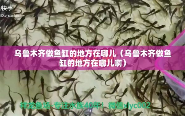乌鲁木齐做鱼缸的地方在哪儿（乌鲁木齐做鱼缸的地方在哪儿啊） 观赏鱼市场（混养鱼）