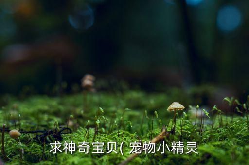 求神奇宝贝( 宠物小精灵