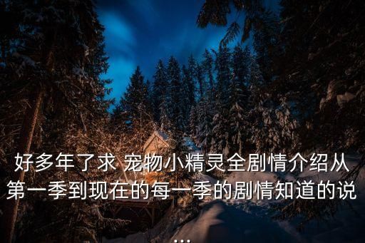 好多年了求 宠物小精灵全剧情介绍从第一季到现在的每一季的剧情知道的说...