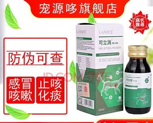 如何预防狗狗传染性气管炎？（宠物主人必看，了解这些关键信息能让宠物健康无忧）