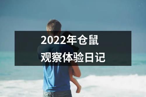 2022年仓鼠观察体验日记