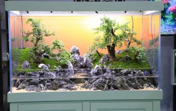 鱼缸过滤决定成败！盘点七大水族过滤系统的优缺点（上）-有驾
