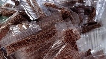 小金鱼饲料：观赏鱼的理想之选
