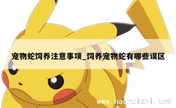 宠物蛇饲养注意事项_饲养宠物蛇有哪些误区 第1张