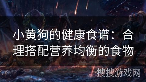 小黄狗的健康食谱：合理搭配营养均衡的食物
