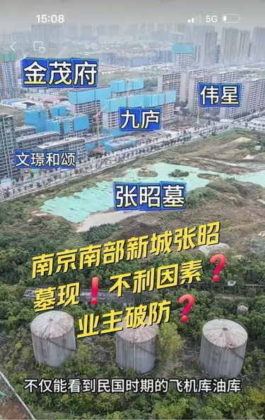 南京南部新城张昭墓现❗不利因素❓️业主破防❓