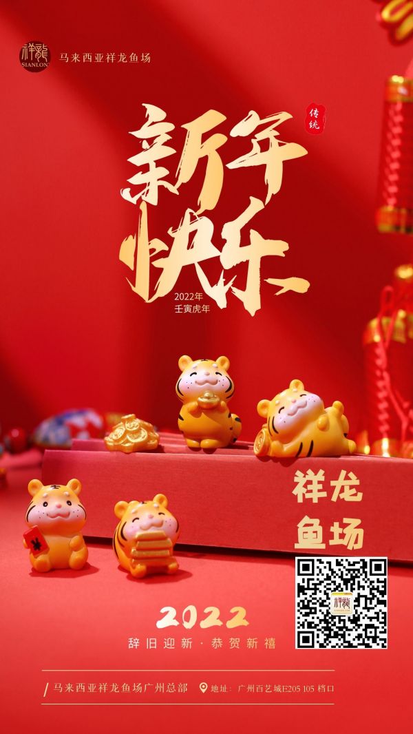 潮州哪有宠物店（卖乌龟的）？ 乌龟 第1张