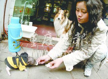 另类宠物衍生出另类商机(图文)