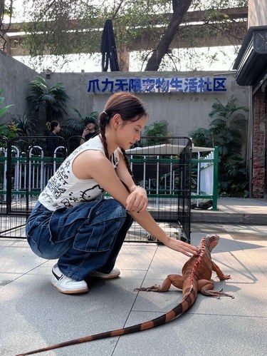不敢想象，家里如果养一只这么大的蜥蜴……