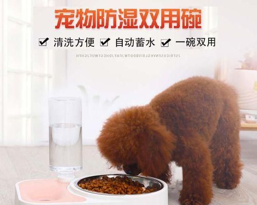 狗狗的合理喂养之每日饮食量（掌握狗狗的营养需求）