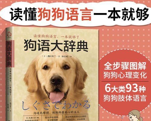 狗狗的合理喂养之每日饮食量（掌握狗狗的营养需求）