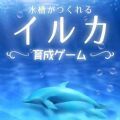 海豚水族馆