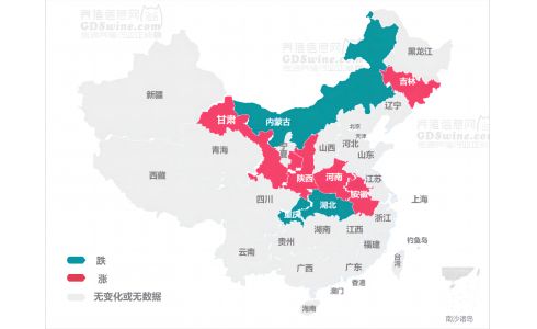 【今日猪价】2024年5月15日 涨跌调整