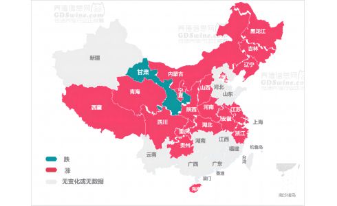 【今日猪价】2024年5月8日 继续上涨