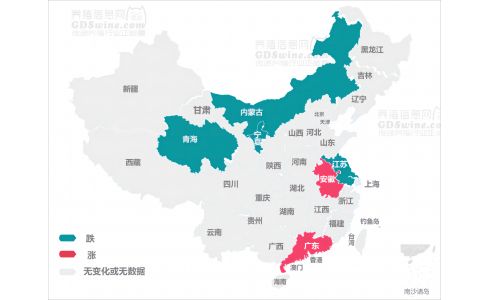 【今日猪价】2024年4月24日 广东上涨，全国猪价趋稳