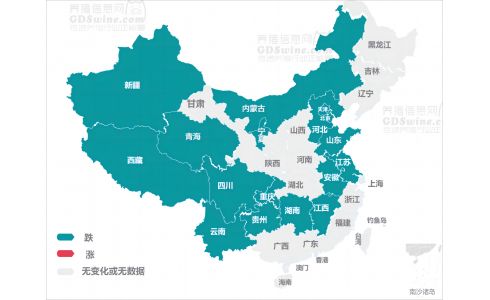 【今日猪价】2024年4月18日 大面积下跌