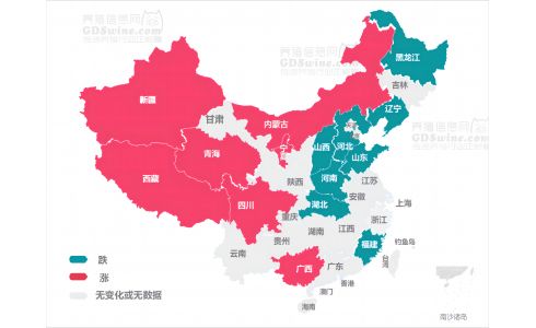 【今日猪价】2024年4月16日 继续上涨