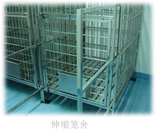 动物寄养