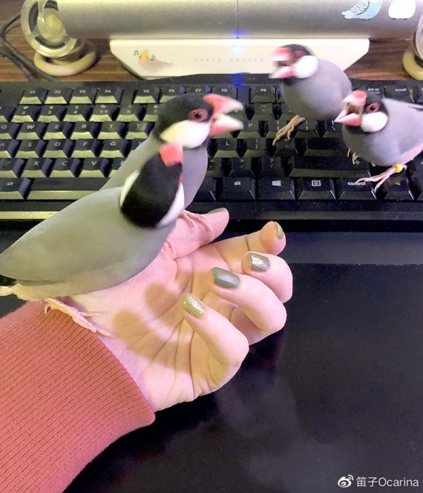 像这样吵闹。