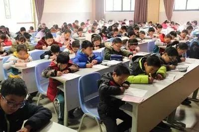龙鱼怎么训练互动能力：如何训练龙鱼的互动能力 龙鱼百科 第1张