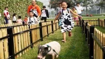 萌宠乐园摸鱼游戏，与可爱小动物一起畅游的梦幻世界