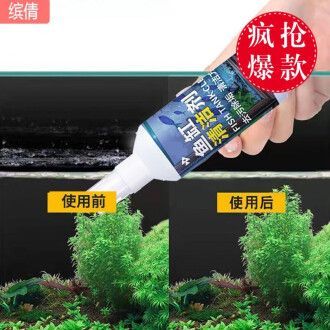 家里的鱼缸如何清洁：清洁鱼缸的方法 鱼缸风水 第2张