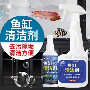 家里的鱼缸如何清洁：清洁鱼缸的方法 鱼缸风水 第3张