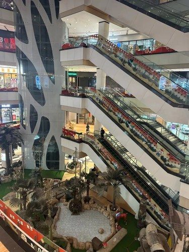 惊呆❗️上海竟有2000平超大宠物店