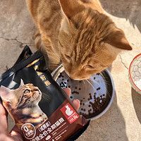 发腮增肥秘籍！冻干奶糕猫主粮食 