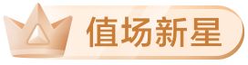 值场新星
