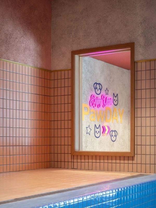 宠物店设计