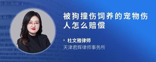 被狗撞伤饲养的宠物伤人怎么赔偿