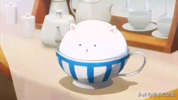 全方位探索：二次元萌宠的魅力与养护指南