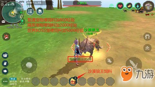 创造与魔法宠物升级攻略