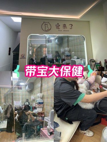 带宠物大保健