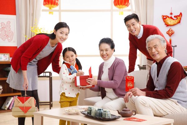 驯服小猫咪：轻松驯养与四步驯化攻略
