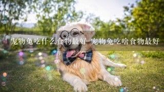 宠物兔吃什么食物最好 宠物兔吃啥食物最好