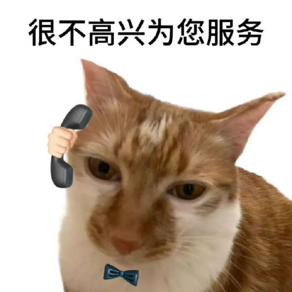 上班给人添堵的回复表情包搞笑猫猫版