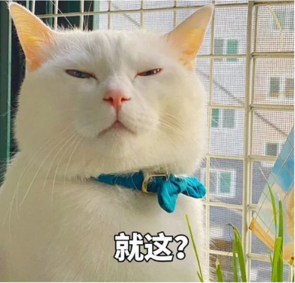猫猫无语的表情包 猫咪搞笑表情图沙雕