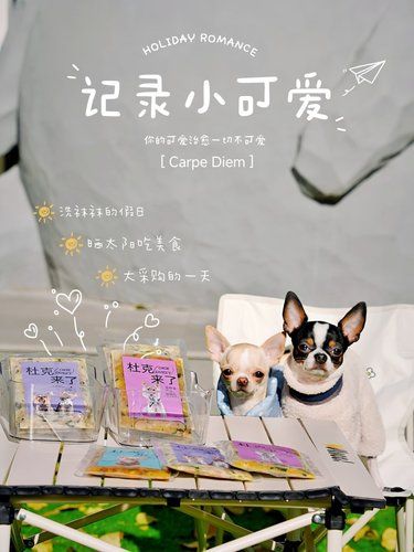 北京也有宠物鲜食工厂啦。