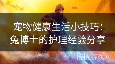 宠物健康生活小技巧：兔博士的护理经验分享