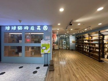南京新街口撸猫体验